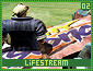 lifestream02.gif