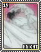 knight14.gif