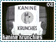 skaninekrunchies02