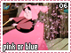 spinkorblue06