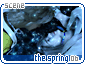thespring06.gif