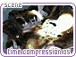 timecompression05.gif