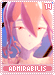 admirabilis14 admirabilis14.gif