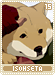 isohseta15 isohseta15.gif