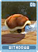withdraw06 withdraw06.gif