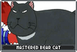 Bear Cat