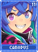canopus11 canopus11.gif