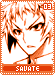 savate03 savate03.gif
