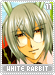whiterabbit11 whiterabbit11.gif
