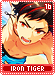 irontiger16 irontiger16.gif