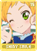 shinysmile15.gif