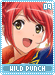 wildpunch09.gif