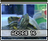 adore16.gif