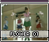 flower01.gif